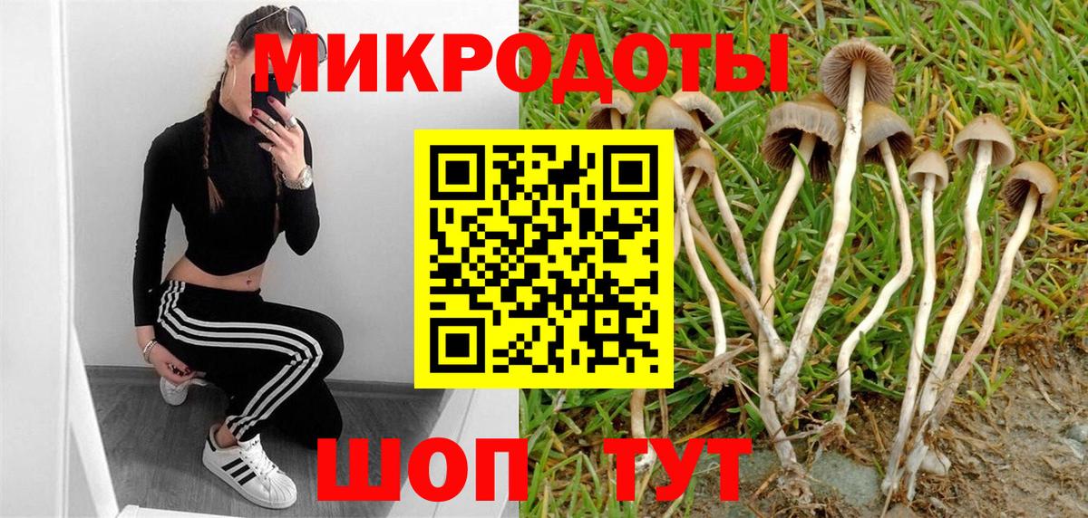 Псилоцибиновые грибы Magic Shrooms Петрозаводск