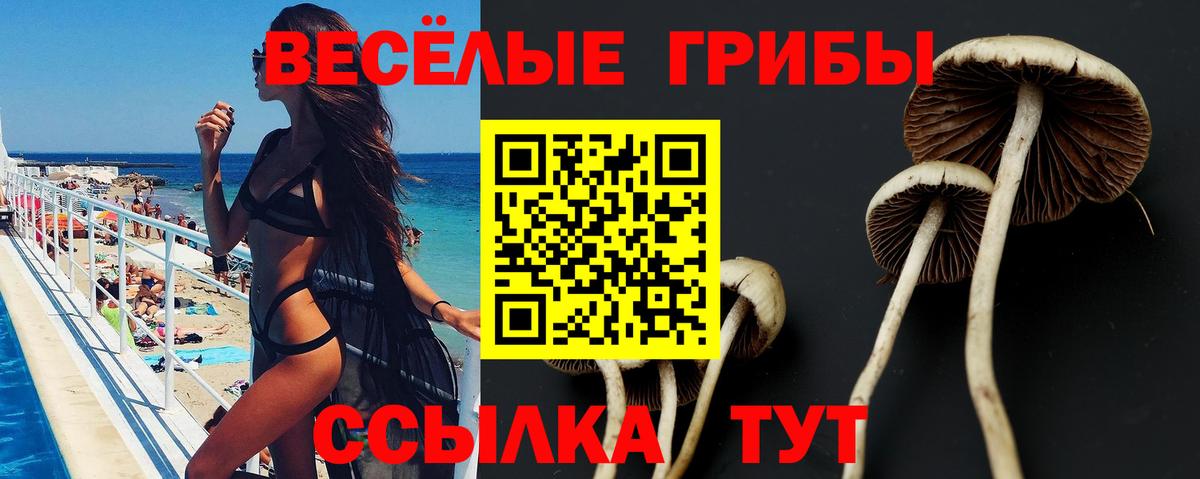 Петрозаводск  Псилоцибиновые грибы прущие грибы  Вход с VPN  Галлюциногенные грибы мухоморы 
